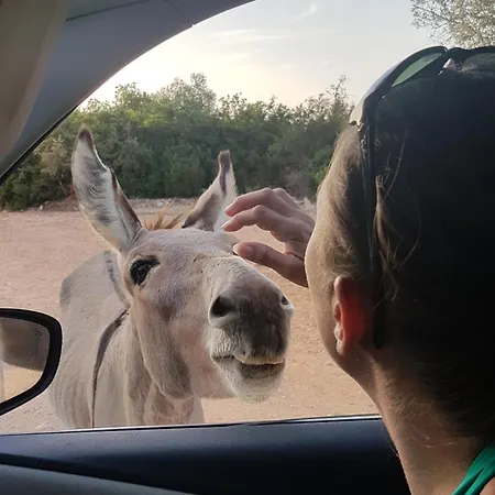 Dommu De Nannai Moro: Con Bagno E Balcone Lägenhet *