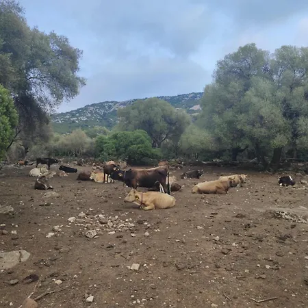 Dommu De Nannai Moro: Con Bagno E Balcone *
