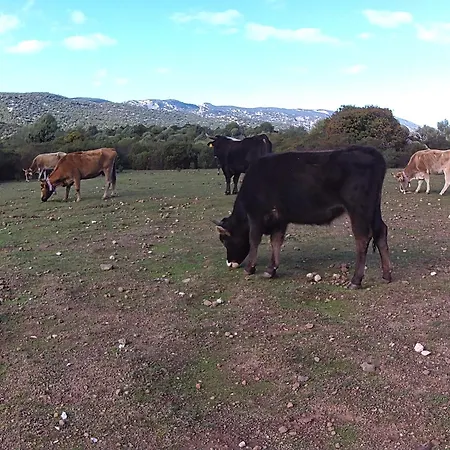 Dommu De Nannai Moro: Con Bagno E Balcone * Baunei