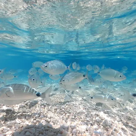 Dommu De Nannai Moro: Con Bagno E Balcone Lägenhet *